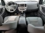 2007 Ford Escape XLT