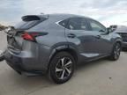 2020 Lexus NX 300