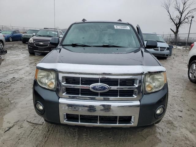 2008 Ford Escape Limited