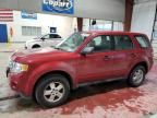 2012 Ford Escape XLS