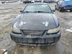 1999 Ford Mustang