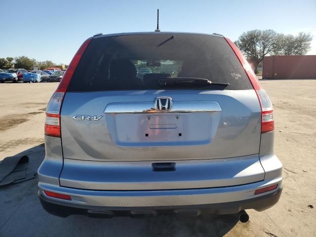 2010 Honda CR-V EXL