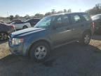 2012 Ford Escape XLS