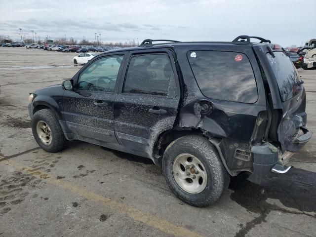 2005 Ford Escape XLT