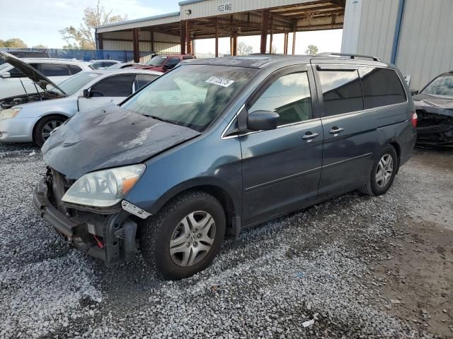 2005 Honda Odyssey EXL