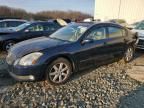 2005 Nissan Maxima SE