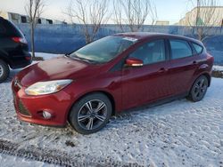 Ford salvage cars for sale: 2014 Ford Focus SE