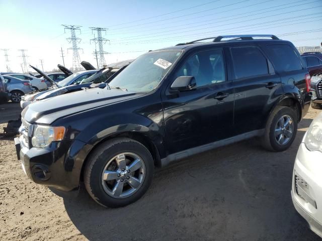 2009 Ford Escape Limited