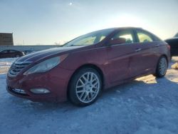 Hyundai Vehiculos salvage en venta: 2011 Hyundai Sonata SE