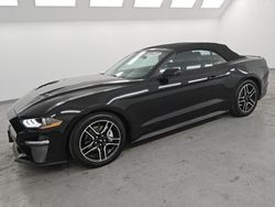 Lots with Bids for sale at auction: 2023 Ford Mustang