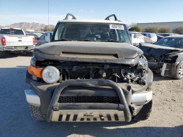 2010 Toyota FJ Cruiser