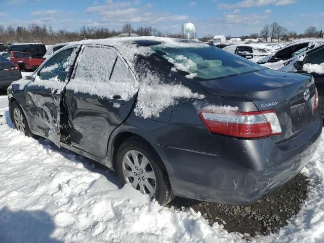 2009 Toyota Camry Hybrid