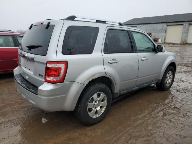 2011 Ford Escape Limited