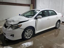 Toyota salvage cars for sale: 2010 Toyota Corolla Base