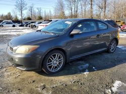 Scion salvage cars for sale: 2008 Scion TC