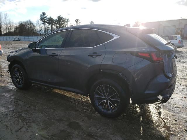 2024 Lexus NX 350H Base