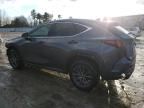 2024 Lexus NX 350H Base