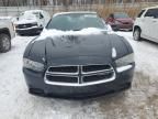 2011 Dodge Charger