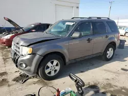 Ford salvage cars for sale: 2011 Ford Escape XLT