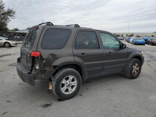 2007 Ford Escape XLT