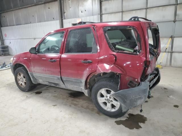 2005 Ford Escape XLT