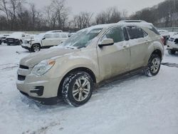 Salvage cars for sale at Ellwood City, PA auction: 2010 Chevrolet Equinox LT