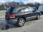 2005 Hyundai Santa FE GLS