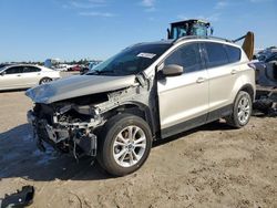 Salvage cars for sale at Houston, TX auction: 2018 Ford Escape SE