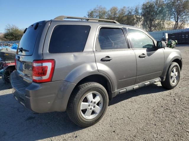 2009 Ford Escape XLT