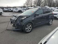 Ford Escape se salvage cars for sale: 2016 Ford Escape SE