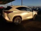 2024 Lexus NX 350H Base