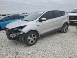 Salvage cars for sale at Taylor, TX auction: 2014 Ford Escape SE