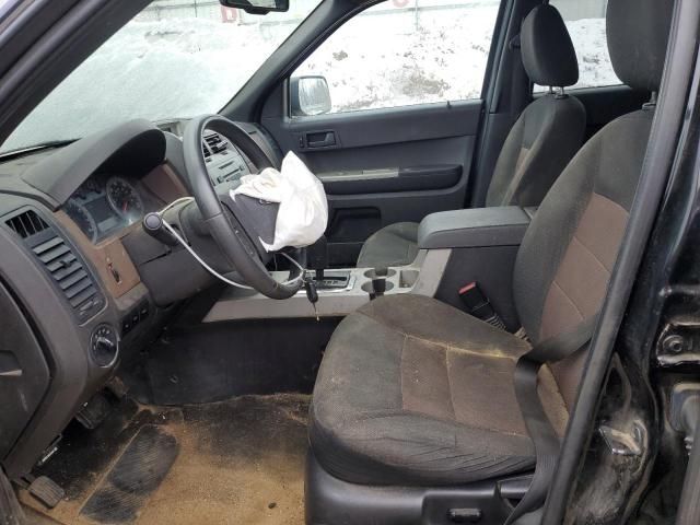 2008 Ford Escape XLT