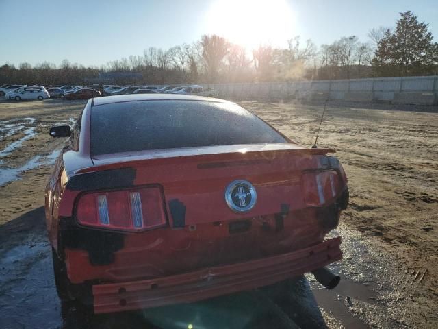 2010 Ford Mustang