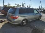 2005 Honda Odyssey EX