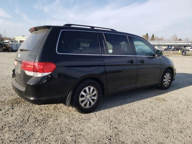 2010 Honda Odyssey EXL