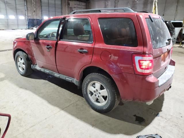 2012 Ford Escape XLT