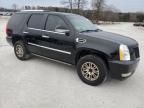 2012 Cadillac Escalade Luxury