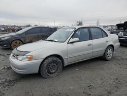 Salvage cars for sale from Copart Eugene, OR: 2000 Toyota Corolla VE