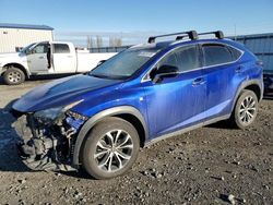 Lexus salvage cars for sale: 2017 Lexus NX 200T Base