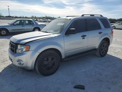 Salvage cars for sale at Arcadia, FL auction: 2012 Ford Escape XLT