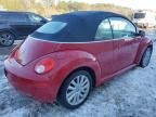 2008 Volkswagen New Beetle Convertible SE