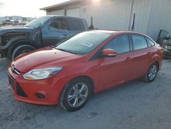 Ford Focus se salvage cars for sale: 2014 Ford Focus SE