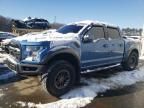 2019 Ford F150 Raptor