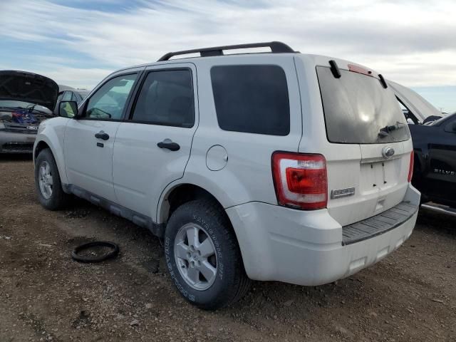 2011 Ford Escape XLT