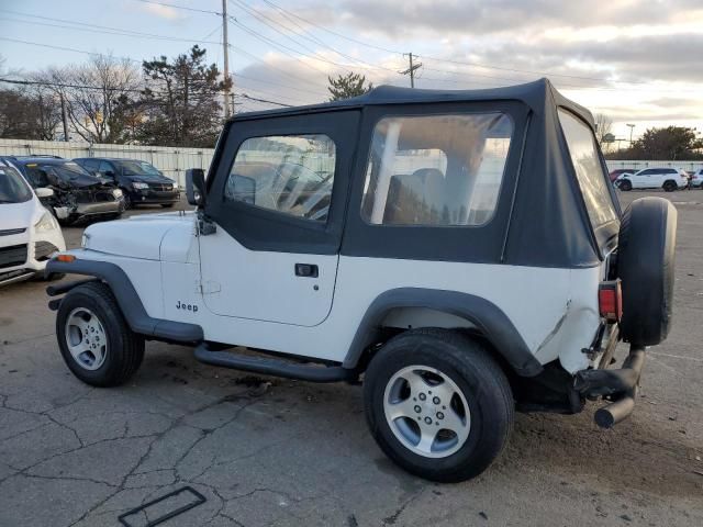 1993 Jeep Wrangler / YJ S