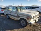 1989 Jeep Grand Wagoneer