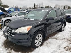 Honda salvage cars for sale: 2011 Honda CR-V EXL