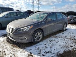 Salvage cars for sale at Elgin, IL auction: 2015 Hyundai Sonata SE