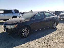 Salvage cars for sale at Antelope, CA auction: 2014 Toyota Camry L